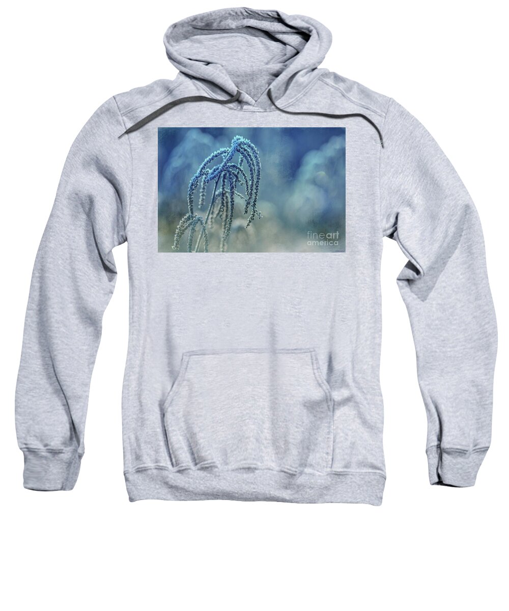 Grass Sweatshirt featuring the photograph Frosted Grass by Eva Lechner