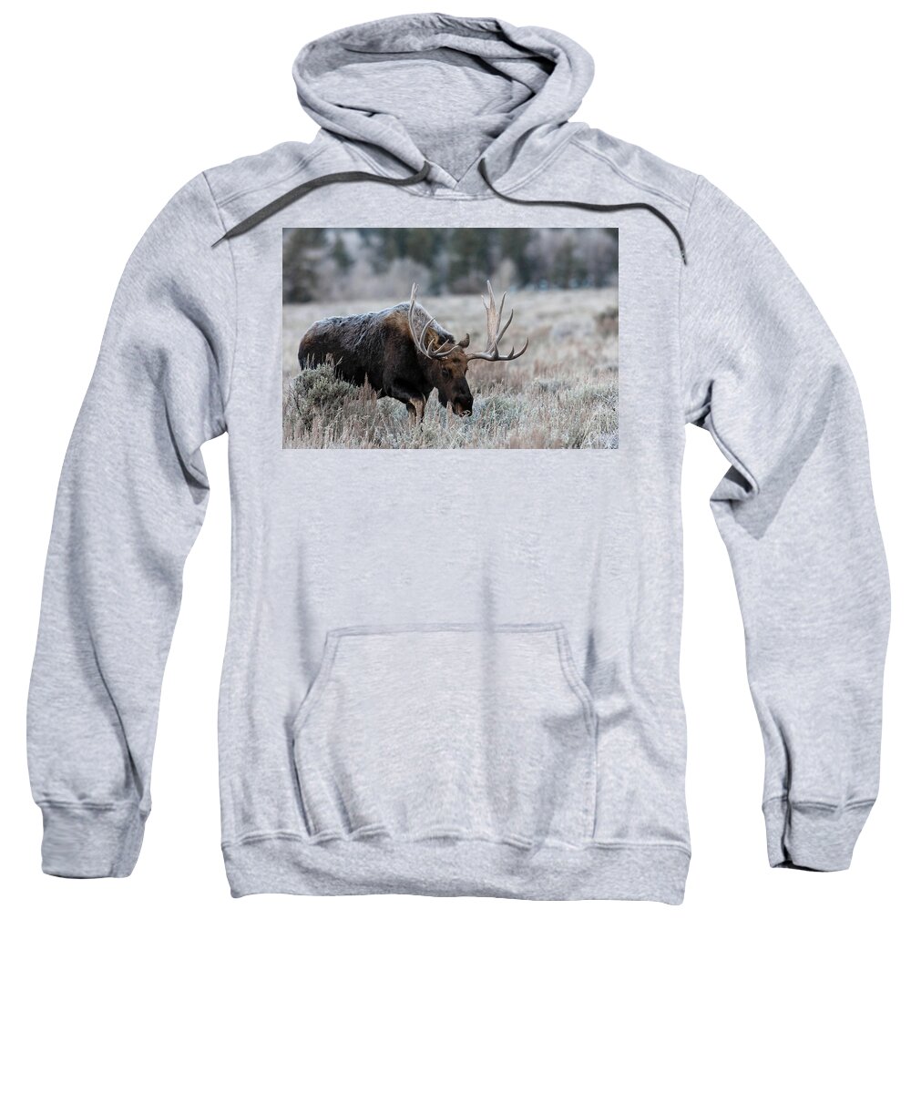 Moose Sweatshirt featuring the photograph Frosty Morning by Ronnie And Frances Howard