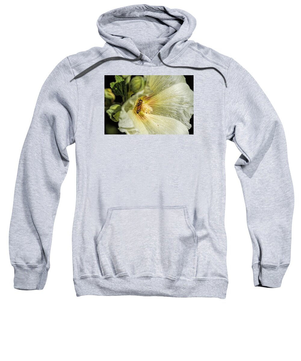 Nature Sweatshirt featuring the photograph Gathering by Alana Thrower