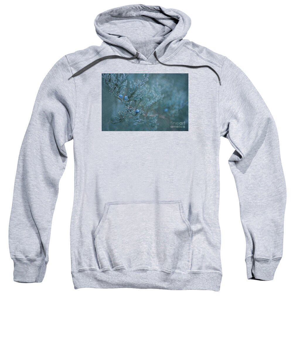 Juniper Sweatshirt featuring the photograph In the Night by Marilyn Cornwell