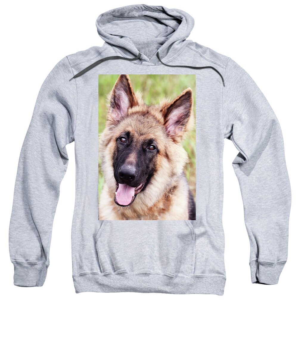 German Shepherd Sweatshirt featuring the photograph German Shepherd Dog by Stephanie Frey