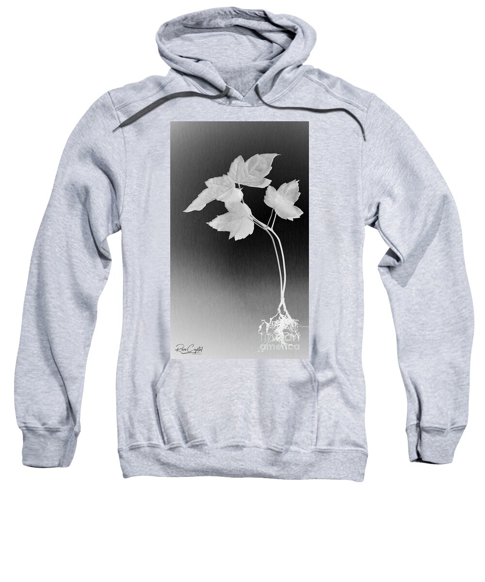 Leaves Sweatshirt featuring the photograph Getting To The Root Of The Matter by Rene Crystal