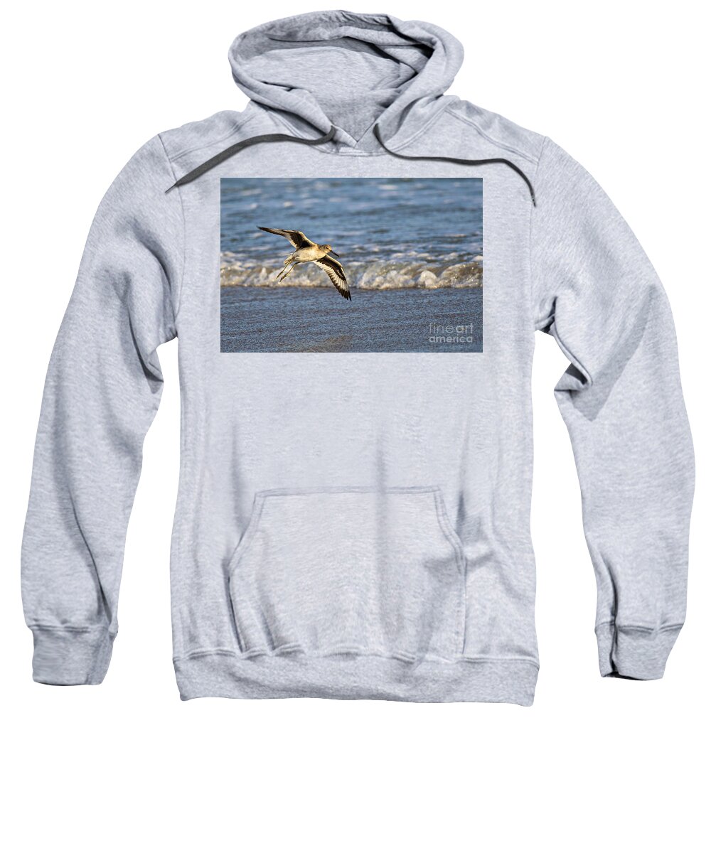 Willet Sweatshirt featuring the photograph Glide by DJA Images