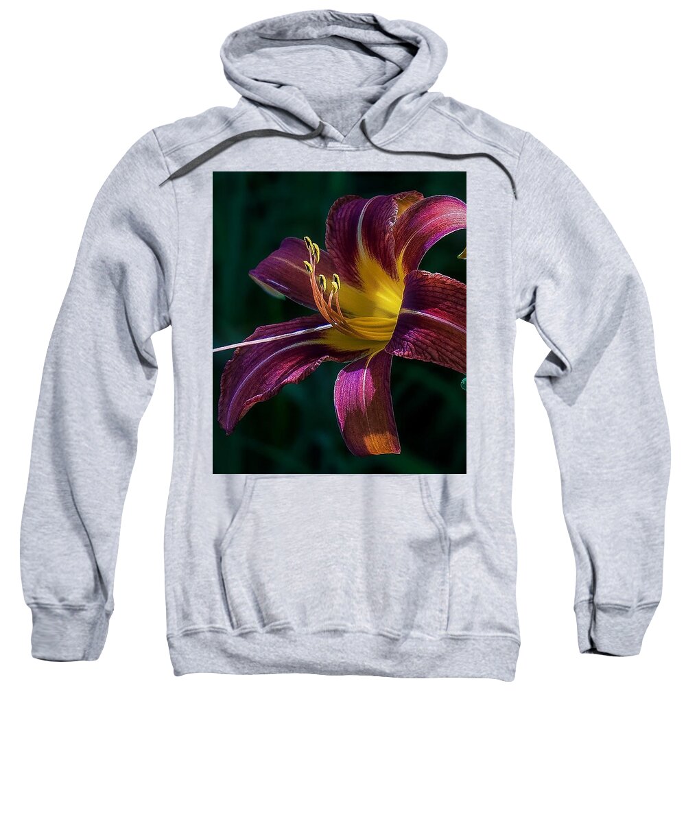  Sweatshirt featuring the photograph Glorious by Kendall McKernon