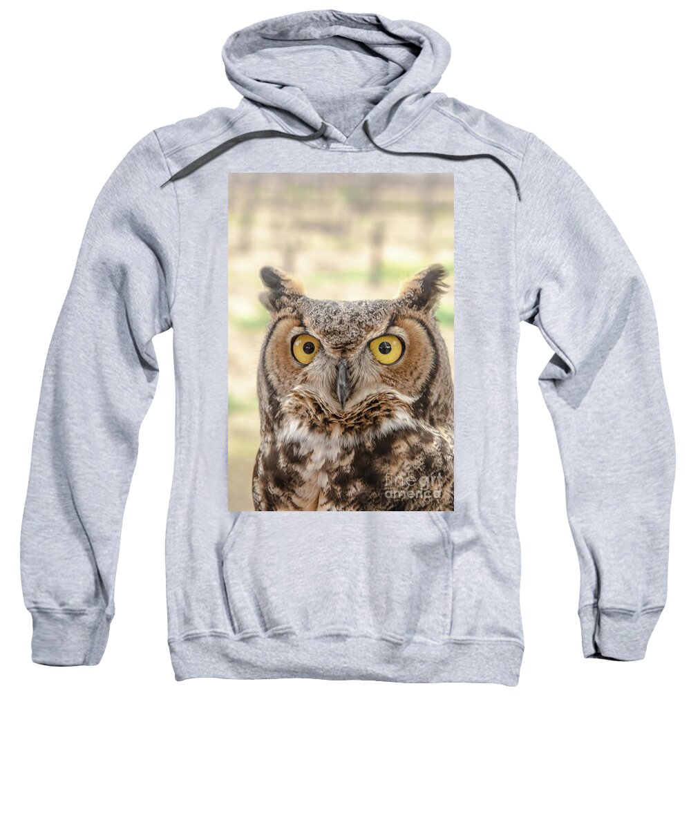 Owl Sweatshirt featuring the photograph Golden Eyes by Jim DeLillo