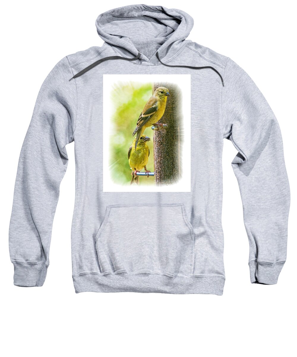 Feeder Sweatshirt featuring the photograph Goldfinches by Constantine Gregory