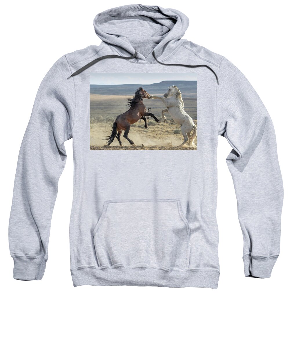 Horses Sweatshirt featuring the photograph Good Left Hook by Ronnie And Frances Howard