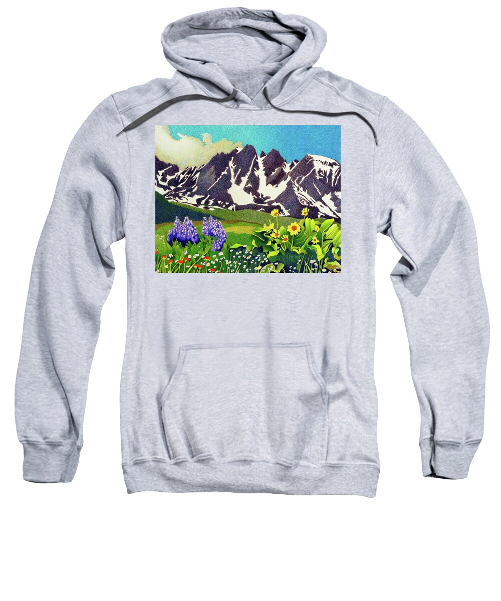 Art Sweatshirt featuring the drawing Gore Range Wildflowers by Dan Miller