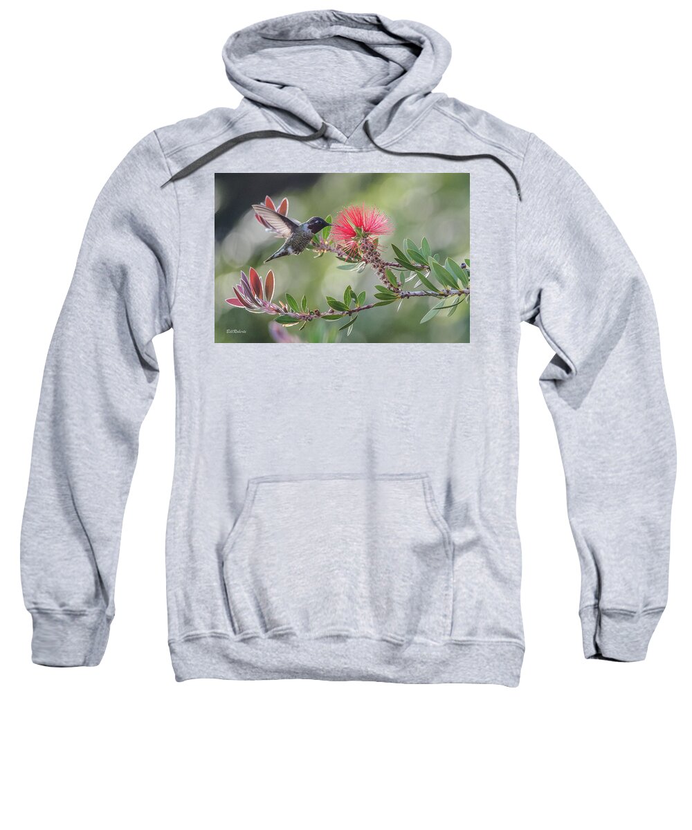 Hummingbird Sweatshirt featuring the photograph Grace by Bill Roberts