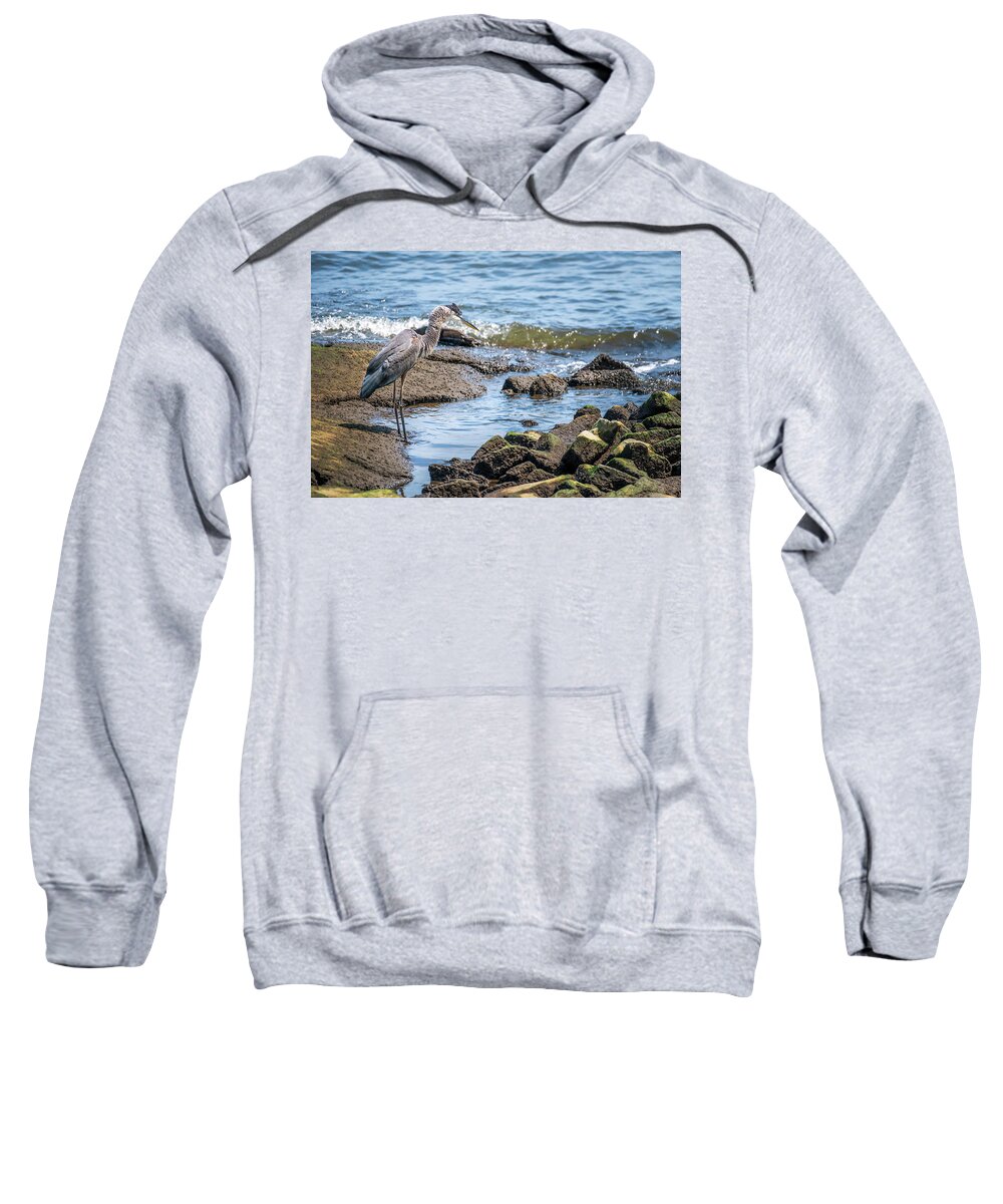 Great Blue Heron Sweatshirt featuring the photograph Great Blue Heron fishing on the Chesapeake Bay by Patrick Wolf