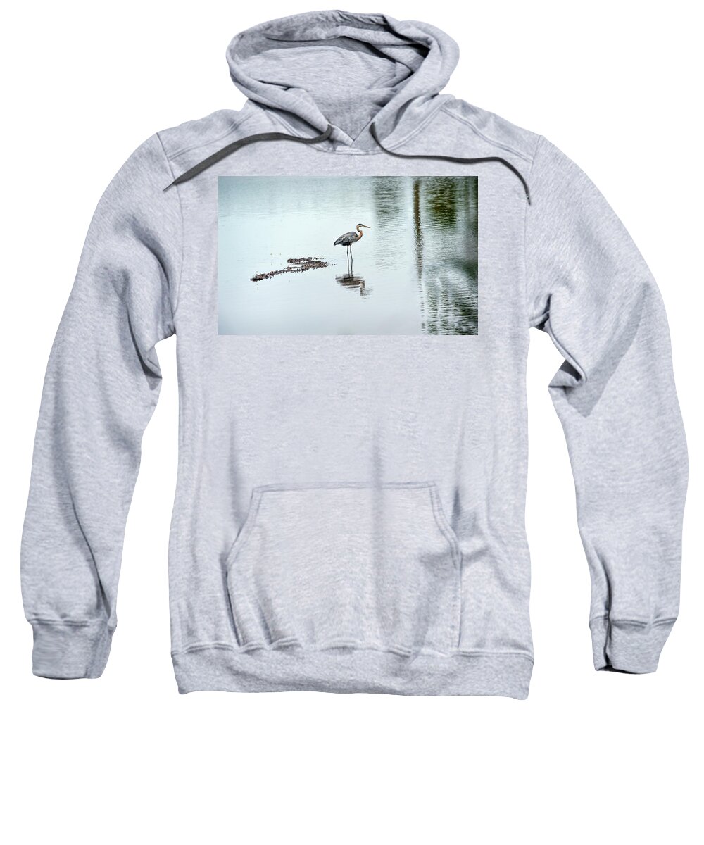 Ardea Herodias Sweatshirt featuring the photograph Great Blue Heron on Chesapeake Bay pond by Patrick Wolf