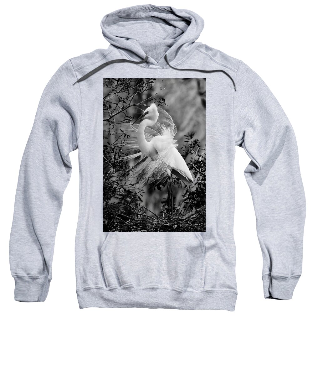 Great White Egret Sweatshirt featuring the photograph Great White Egret in Black and White by Carol Montoya