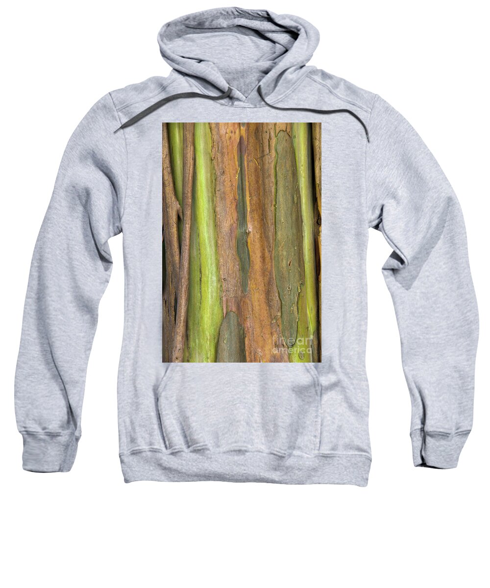 Tree Sweatshirt featuring the photograph Green Bark 3 by Werner Padarin