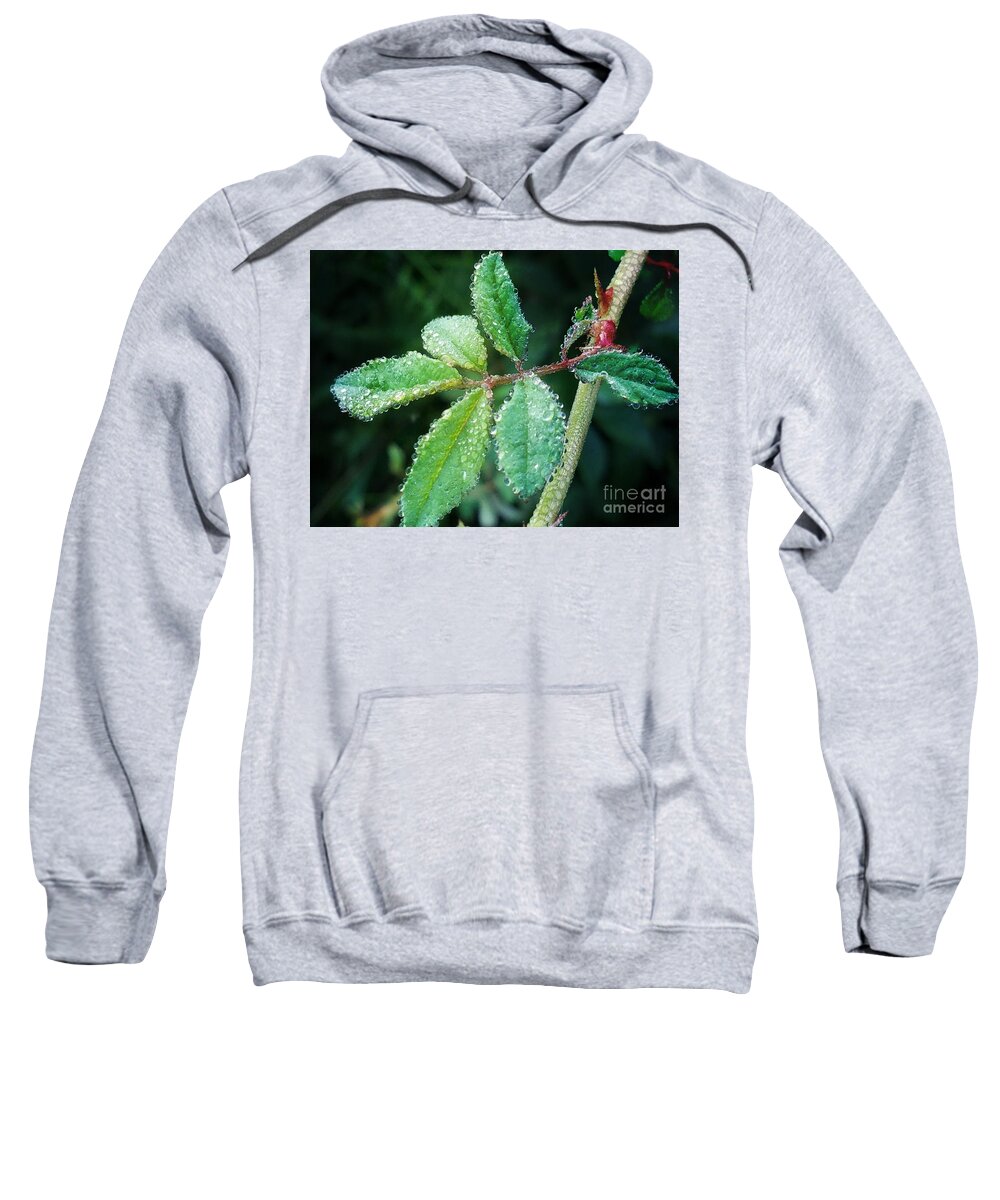 Green Leaf Sweatshirt featuring the photograph Green Leaf by Maria Urso