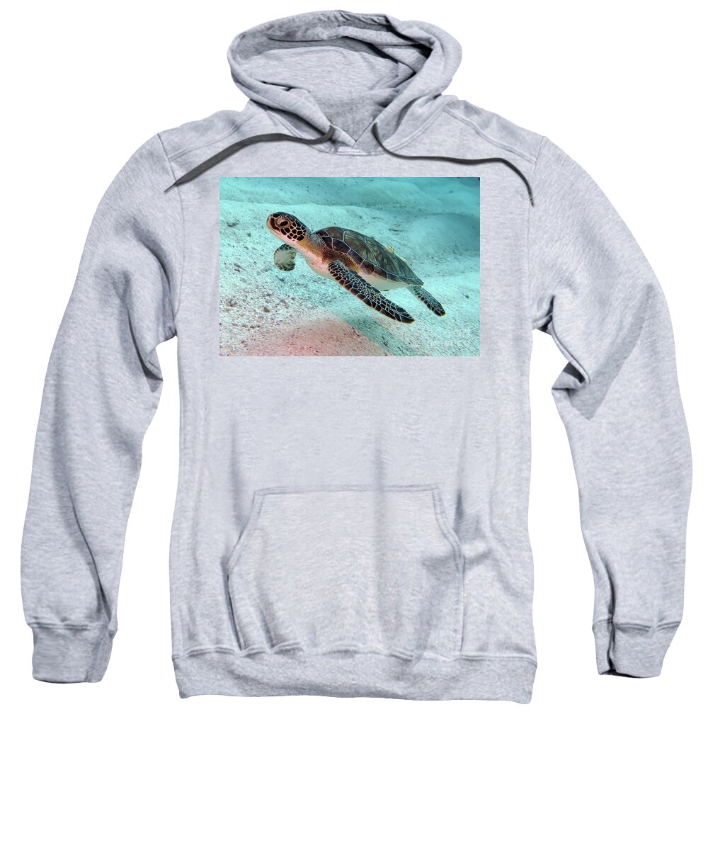 Underwater Sweatshirt featuring the photograph Green Sea Turtle 1 by Daryl Duda