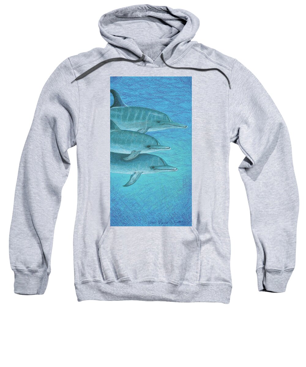 Dolphins Sweatshirt featuring the drawing Greetings by Anne Katzeff