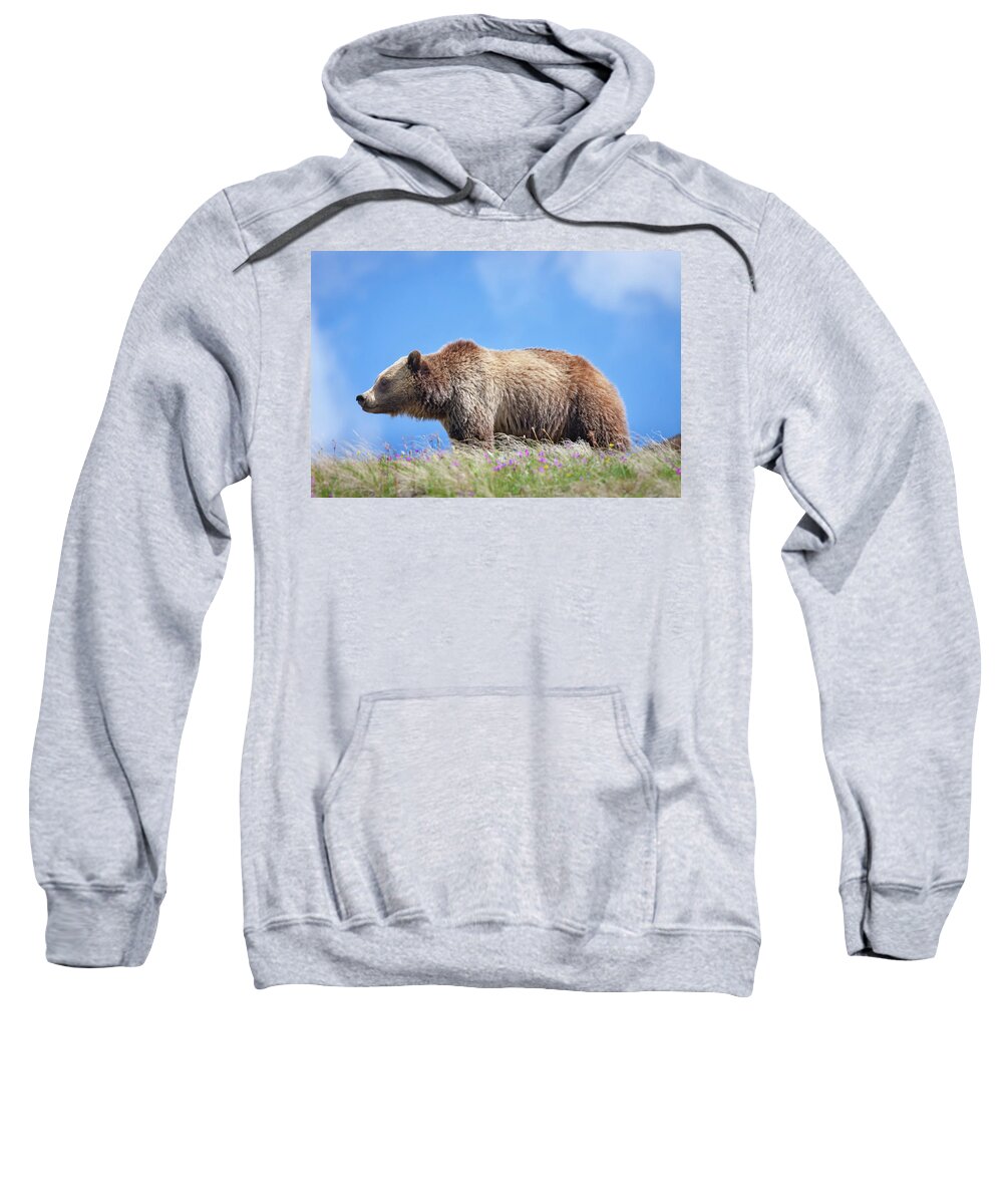 Mark Miller Photos Sweatshirt featuring the photograph Grizzly and Blue Sky by Mark Miller