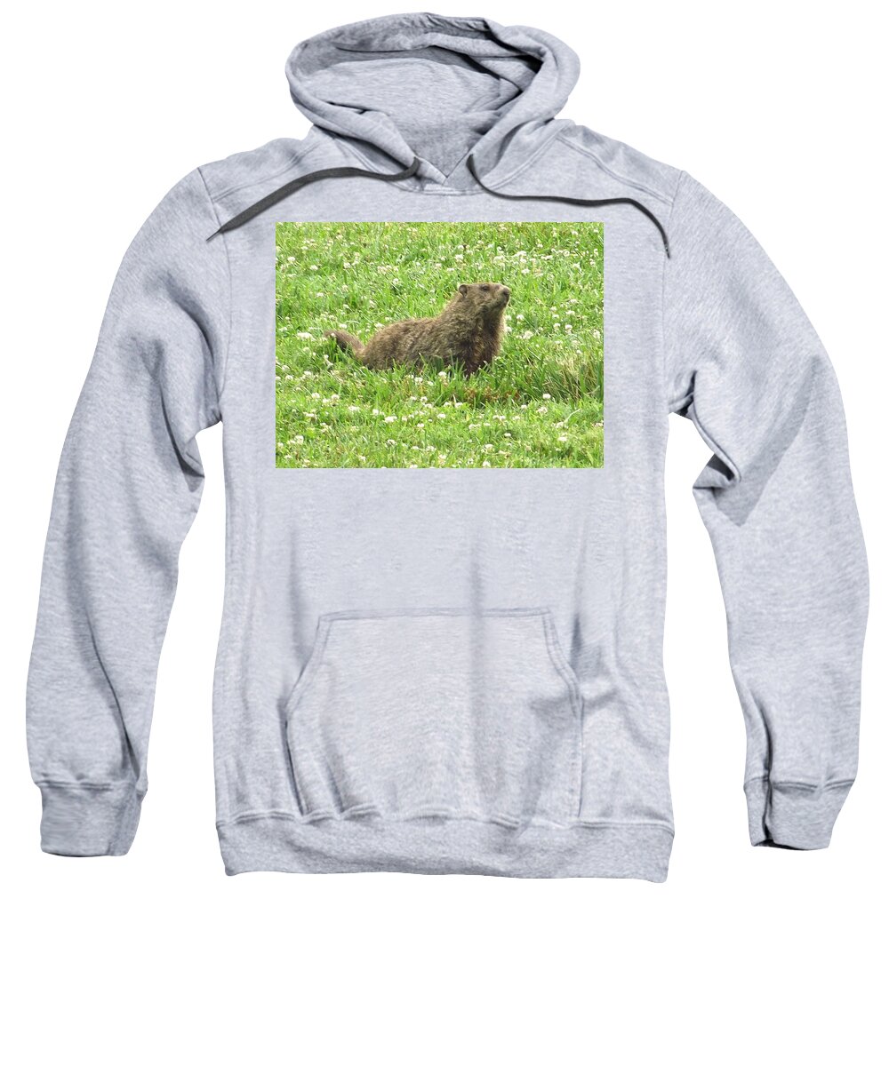 Groundhog Sweatshirt featuring the photograph Groundhog With Flowers by Belinda Stucki