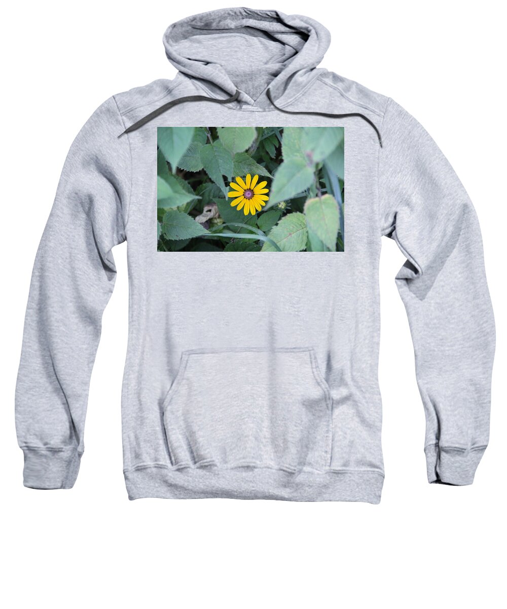 Black-eyed Susan Sweatshirt featuring the photograph Grow Where Your Planted by Allen Nice-Webb