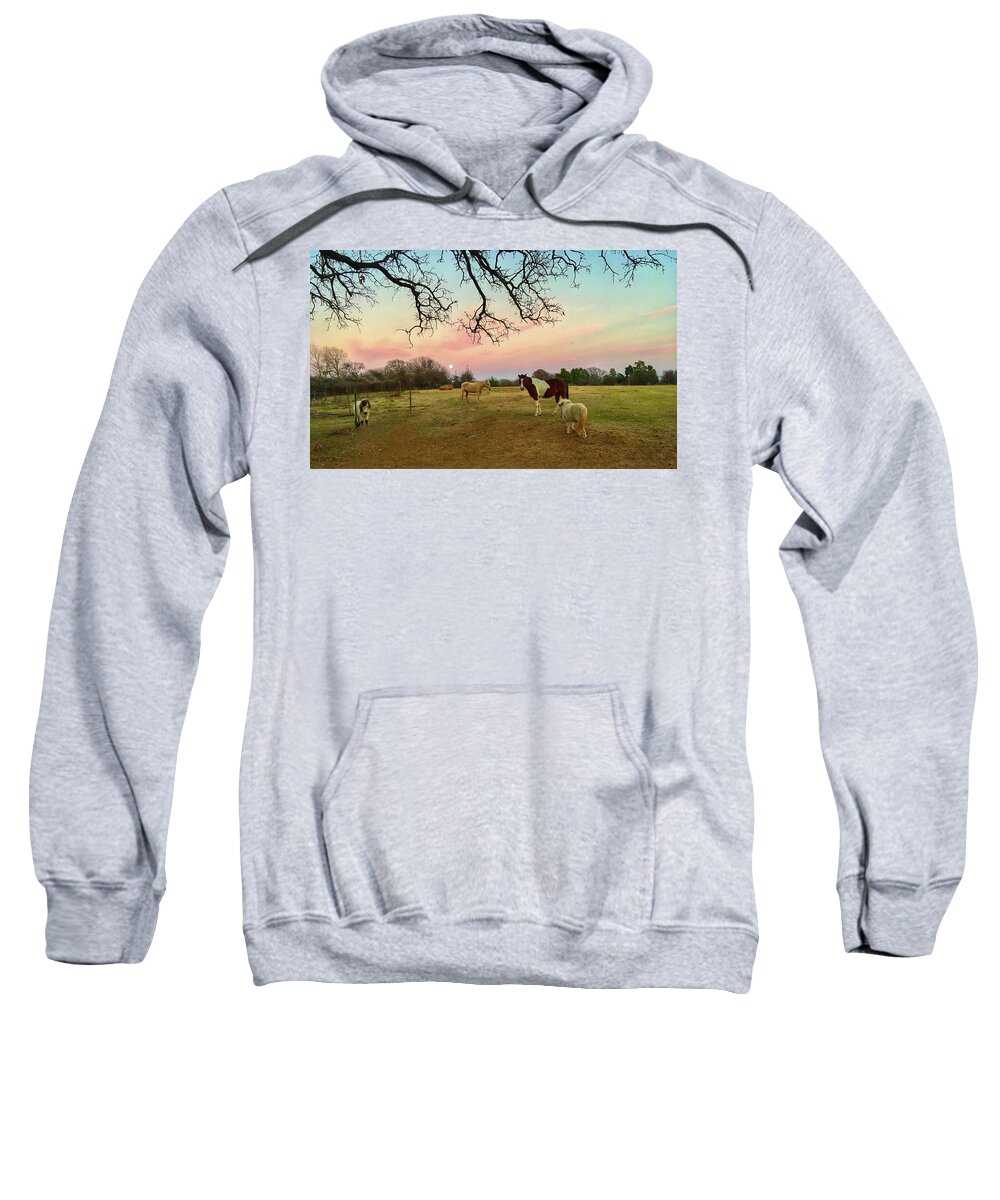 Horses Sweatshirt featuring the photograph Hacienda Paraiso by Doris Aguirre