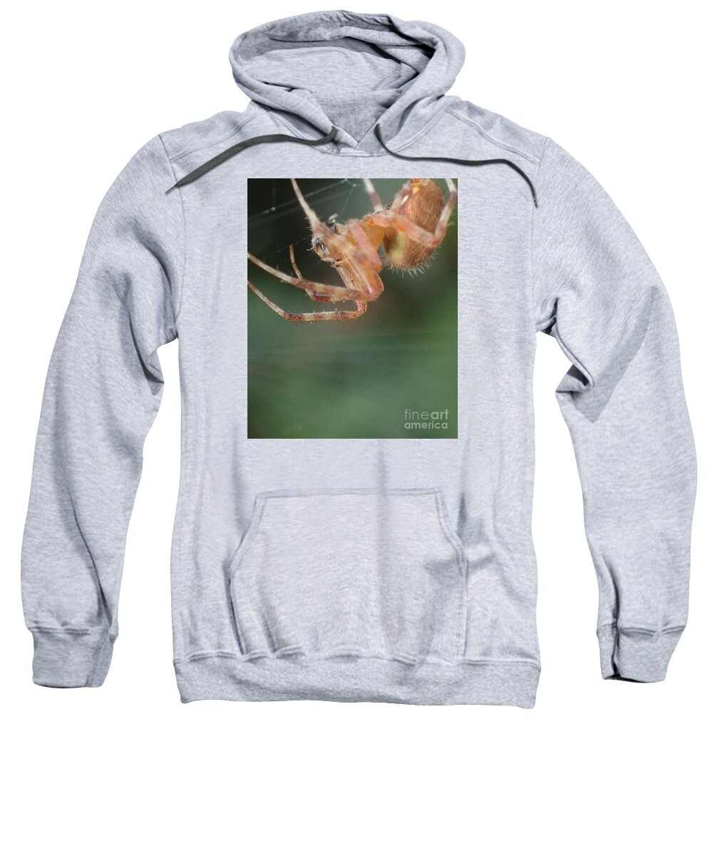 Nature Sweatshirt featuring the photograph Hanging Spider by Christina Verdgeline