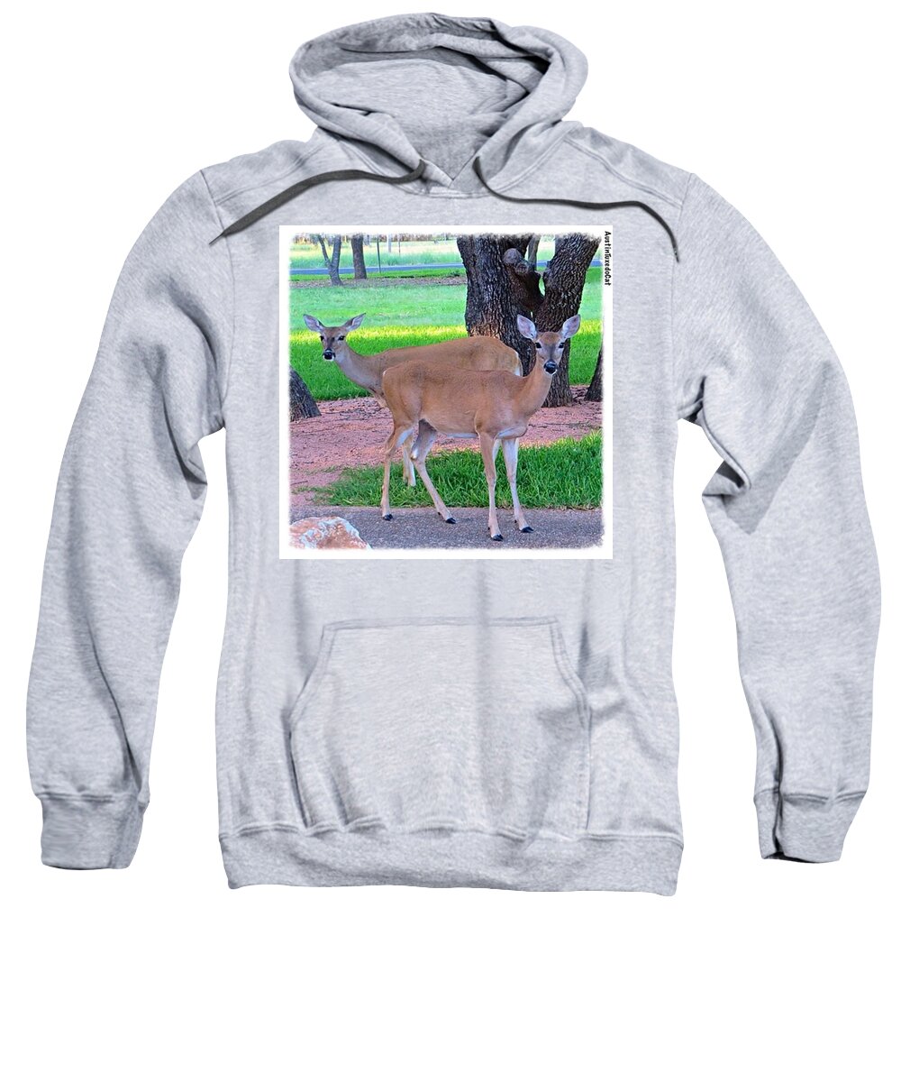 Cute Sweatshirt featuring the photograph Happy Saturday With These by Austin Tuxedo Cat