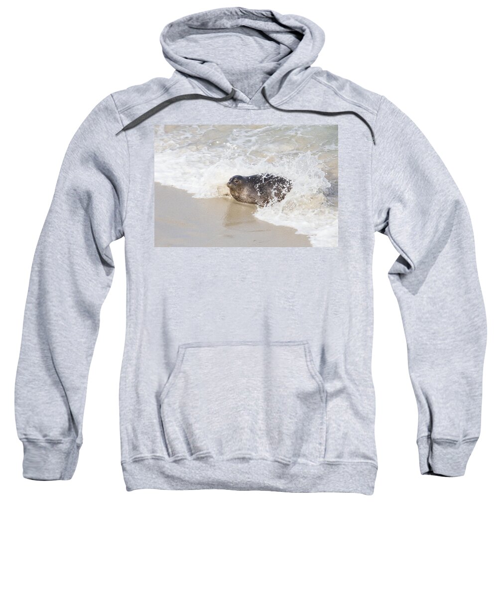 La Jolla Sweatshirt featuring the photograph Harbor Seal by Paul Schultz
