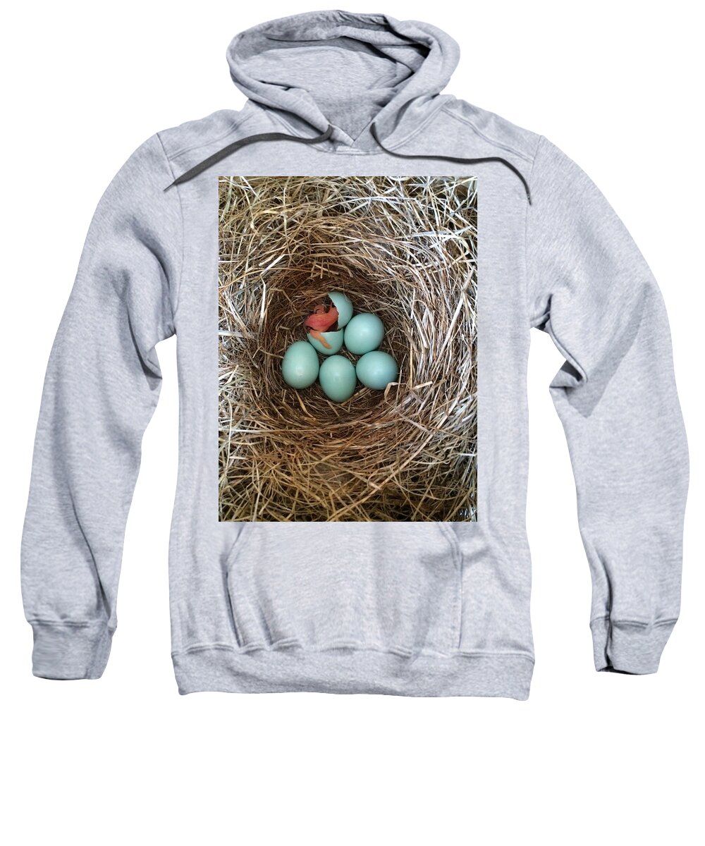 Hatch Sweatshirt featuring the photograph Hatched by Jackson Pearson