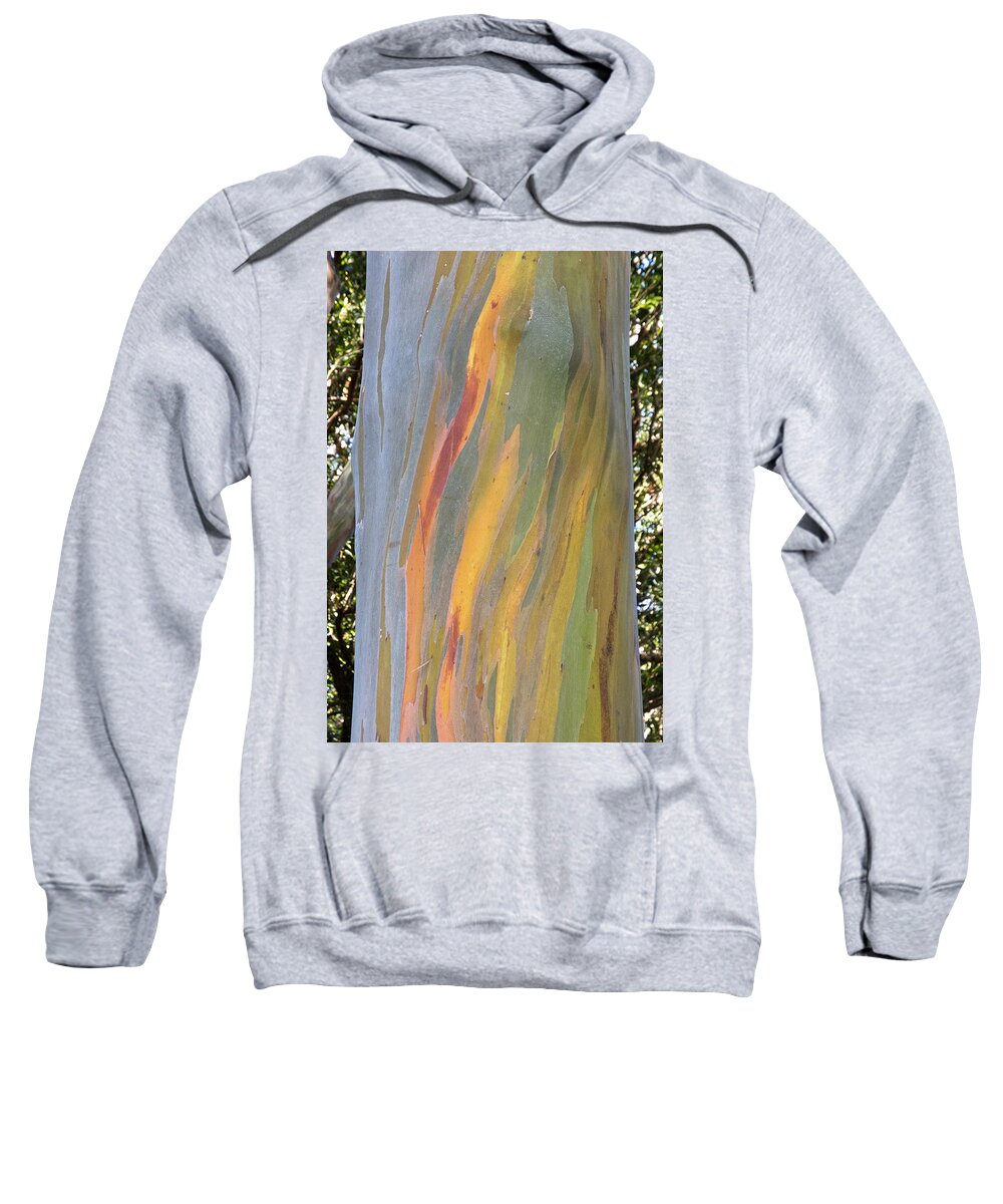 Outdoors Sweatshirt featuring the photograph Hawaiian Rainbow Tree by Doug Davidson