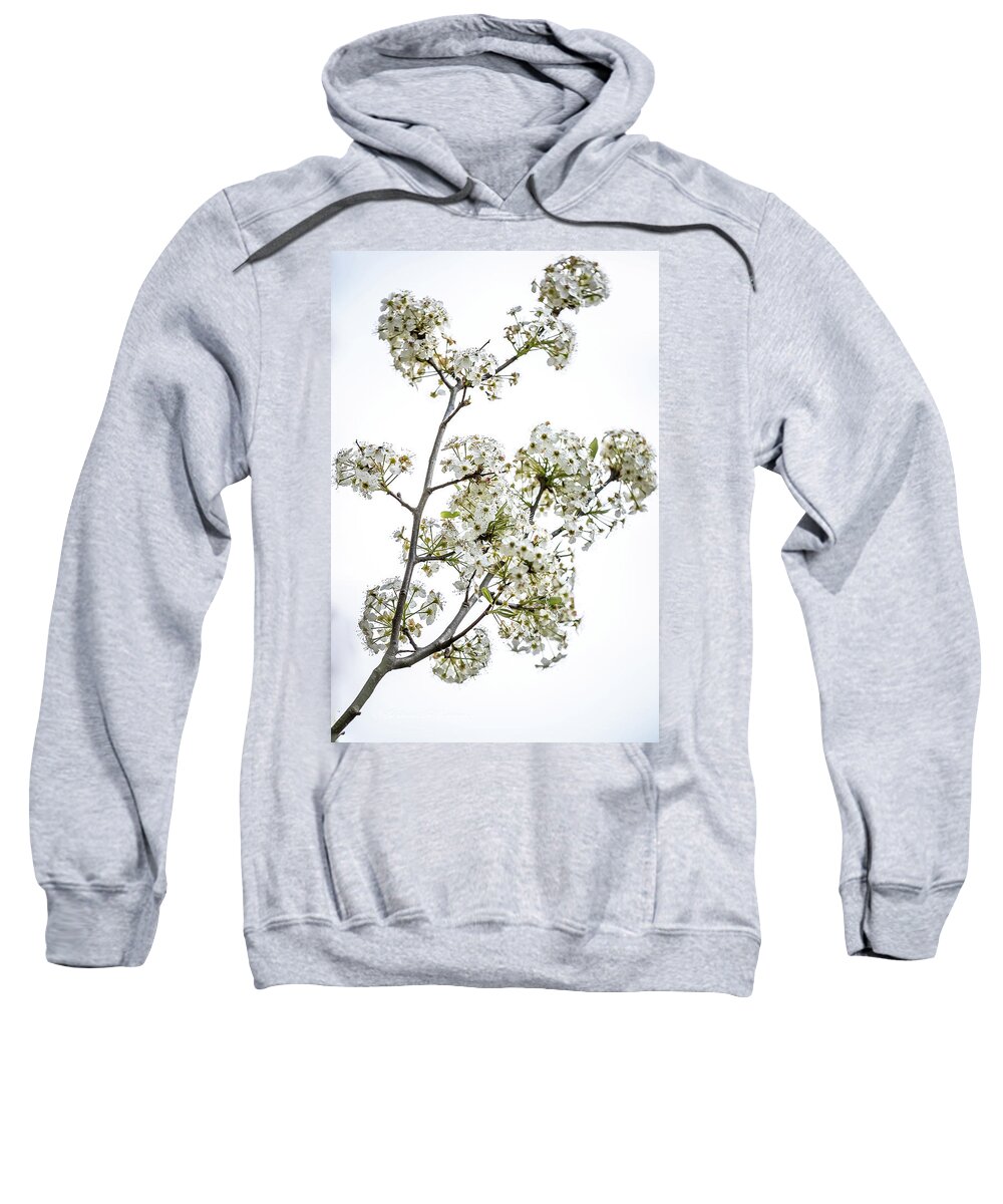 Bouquet Of Tree Blossoms Sweatshirt featuring the digital art Hawthorne Bouquet by Ed Stines