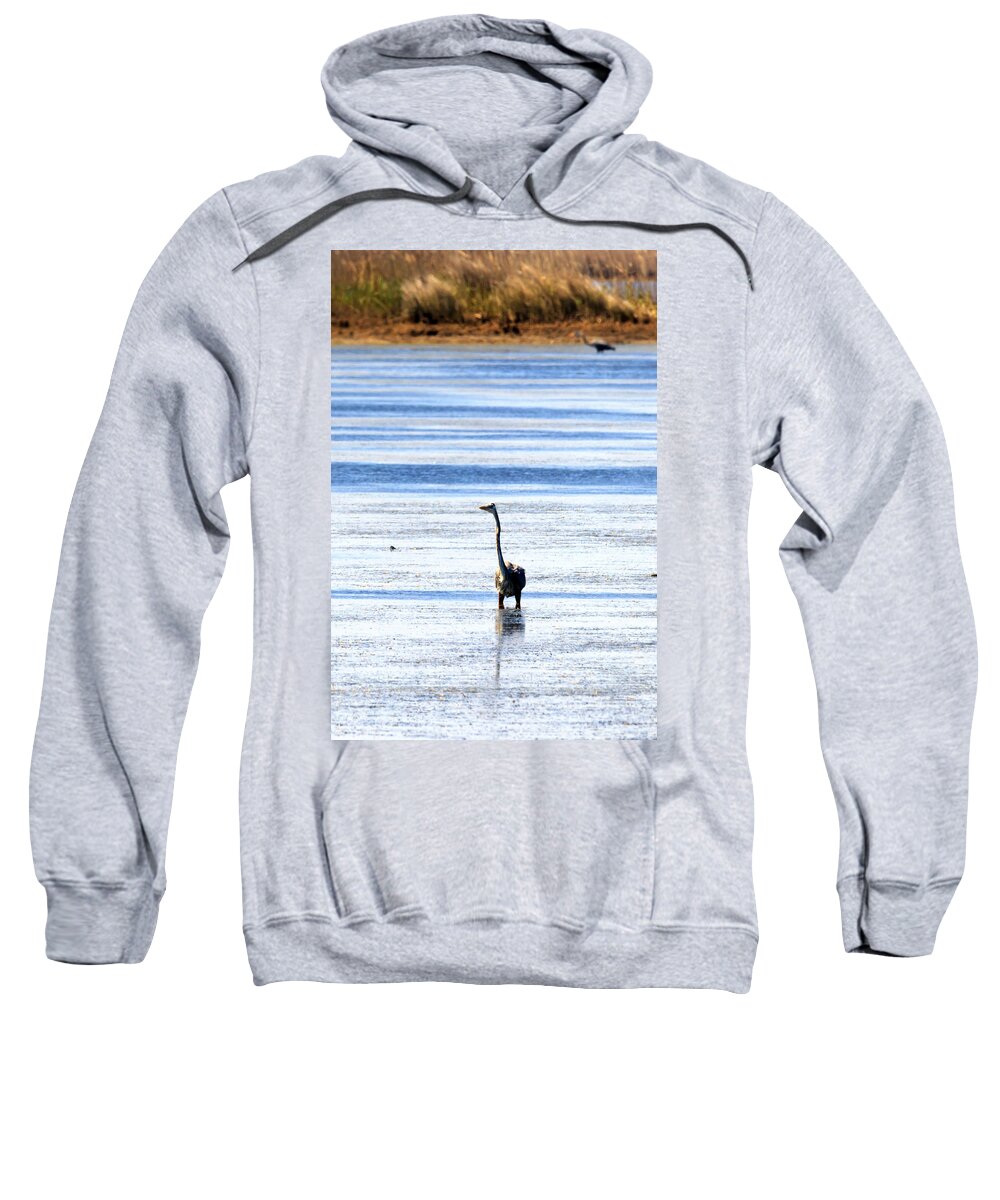 Heron Sweatshirt featuring the photograph Heron in the Water by Travis Rogers