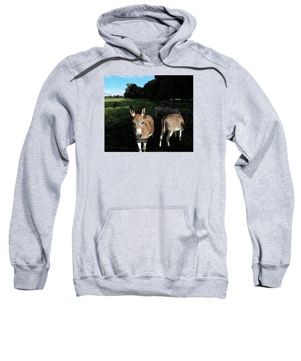 Donkeys Sweatshirt featuring the photograph Hey There by Susan Esbensen