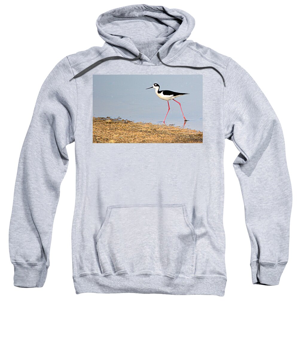 Birds Sweatshirt featuring the photograph Hi-Stepper by AJ Schibig