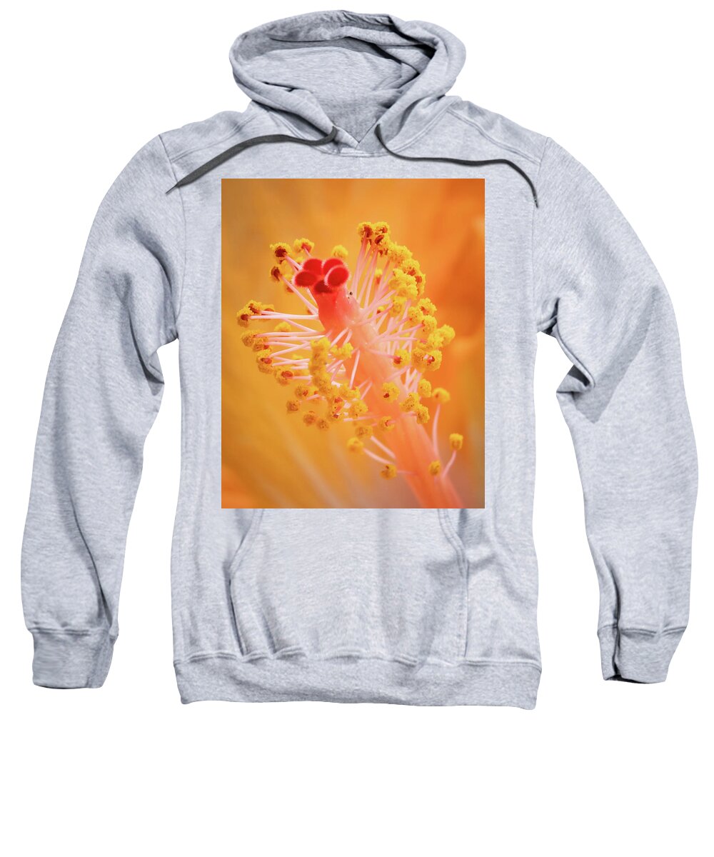 Ebd Sweatshirt featuring the photograph Hibiscus-1 by David Coblitz