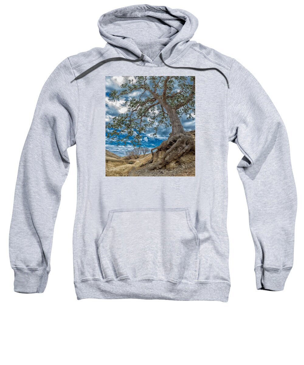 Antioch Sweatshirt featuring the photograph Holding On by Robin Mayoff