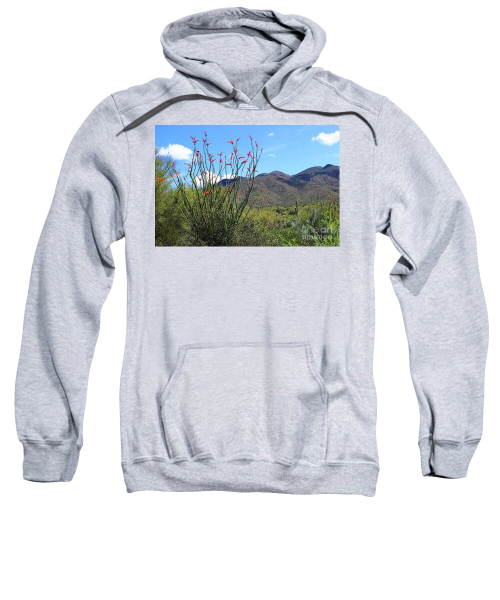 Ocotillo Sweatshirt featuring the photograph Home Of The Ocotillo by Natalie Ortiz