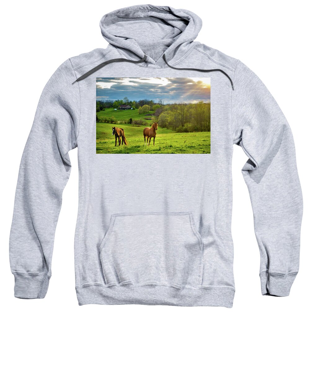 Agriculture Sweatshirt featuring the photograph Horses on a pasture in Kentucky by Alexey Stiop