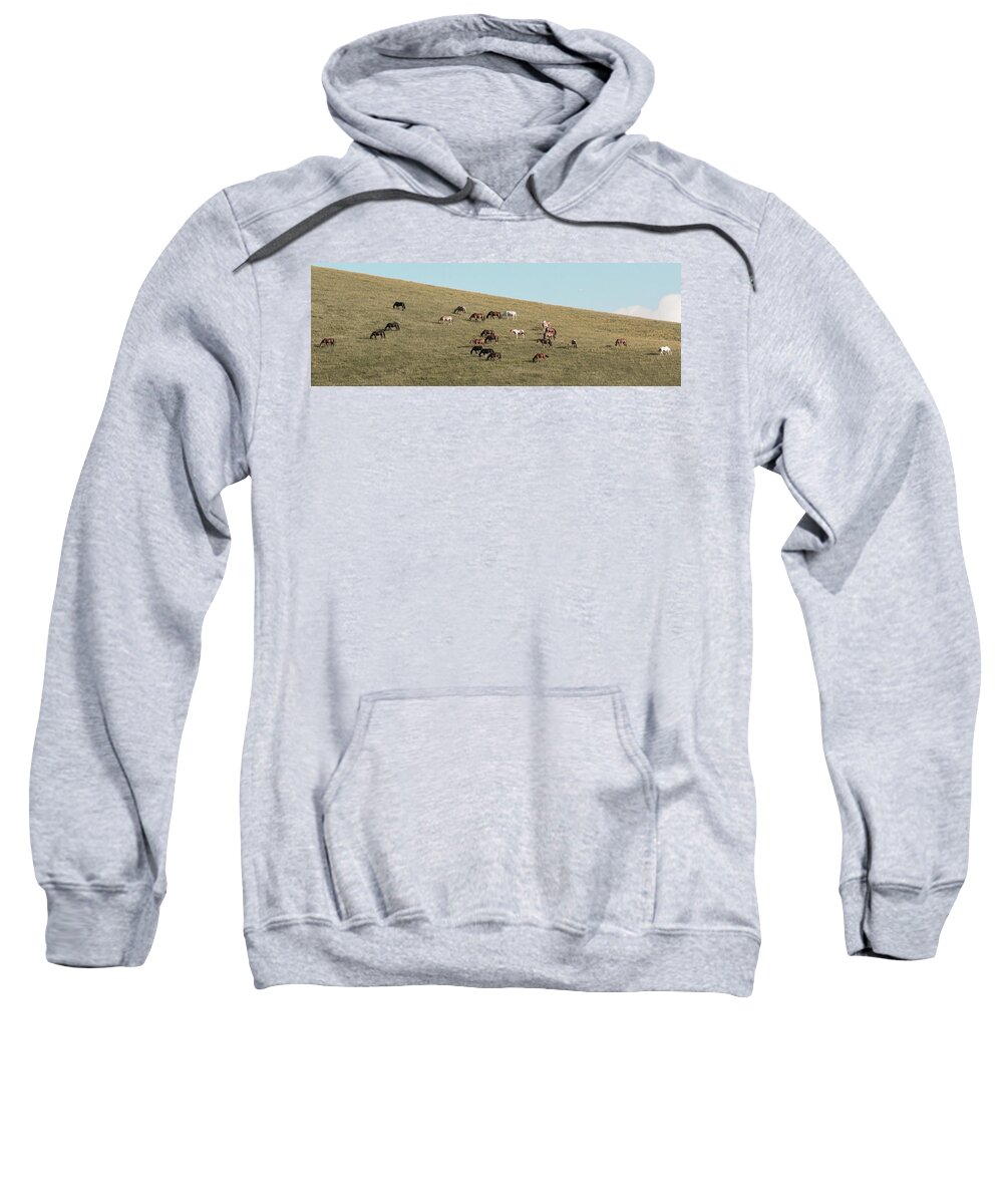 Horses Sweatshirt featuring the photograph Horses On The Hill by D K Wall
