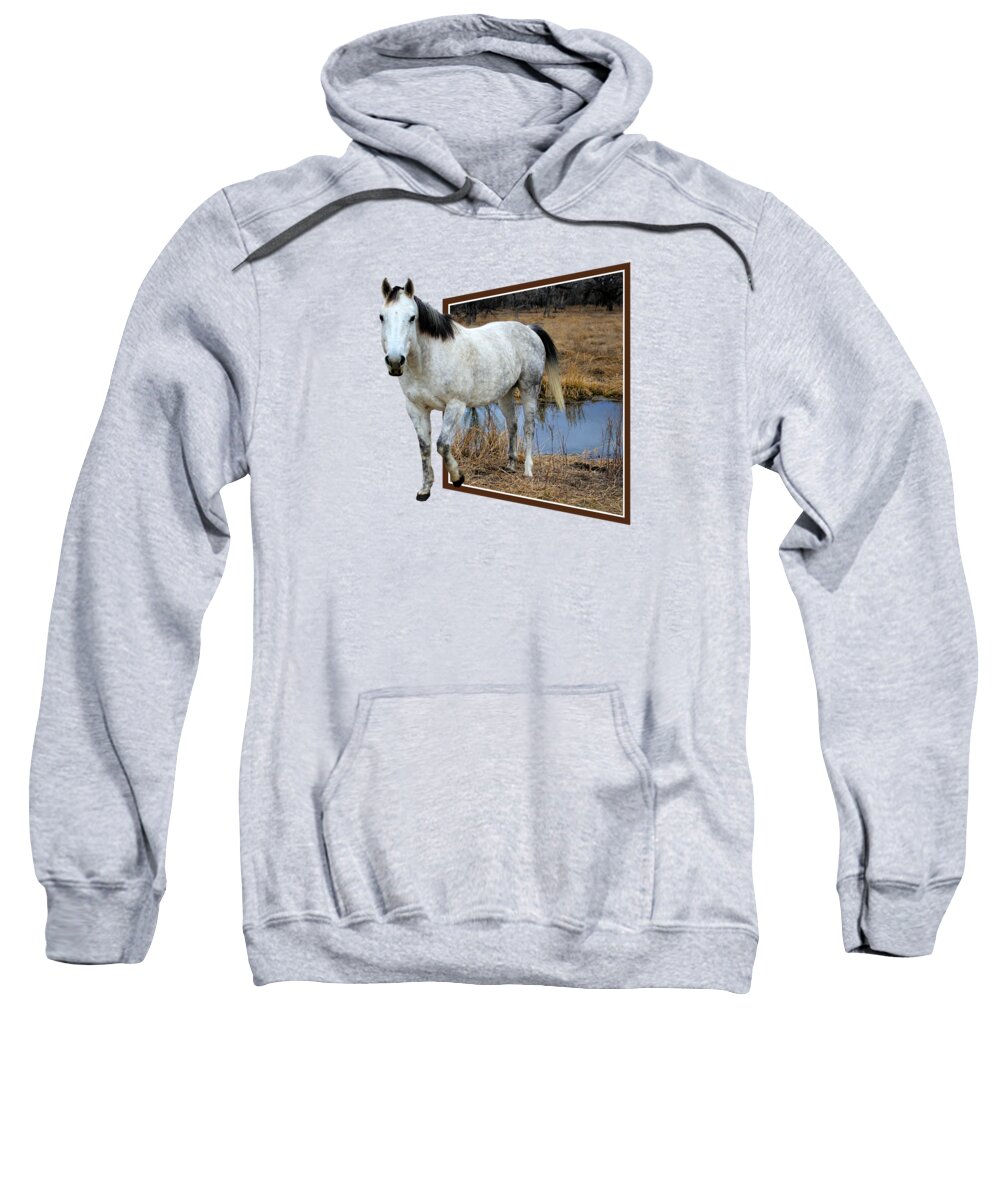 Horse Sweatshirt featuring the photograph Horsing Around by Shane Bechler