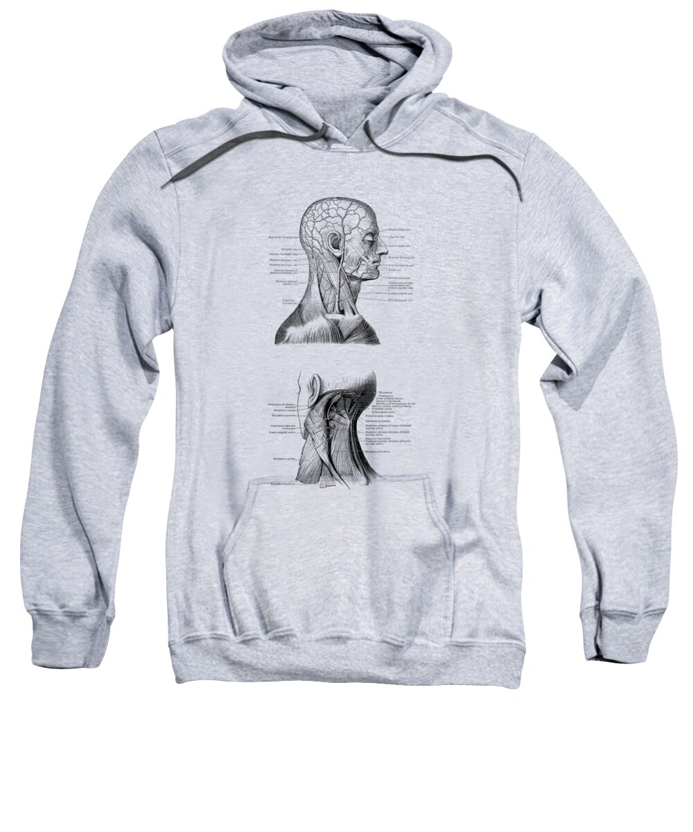 Occipital Nerve Sweatshirt featuring the drawing Human Venous and Circulatory Systems - Head and Neck Dual View by Vintage Anatomy Prints