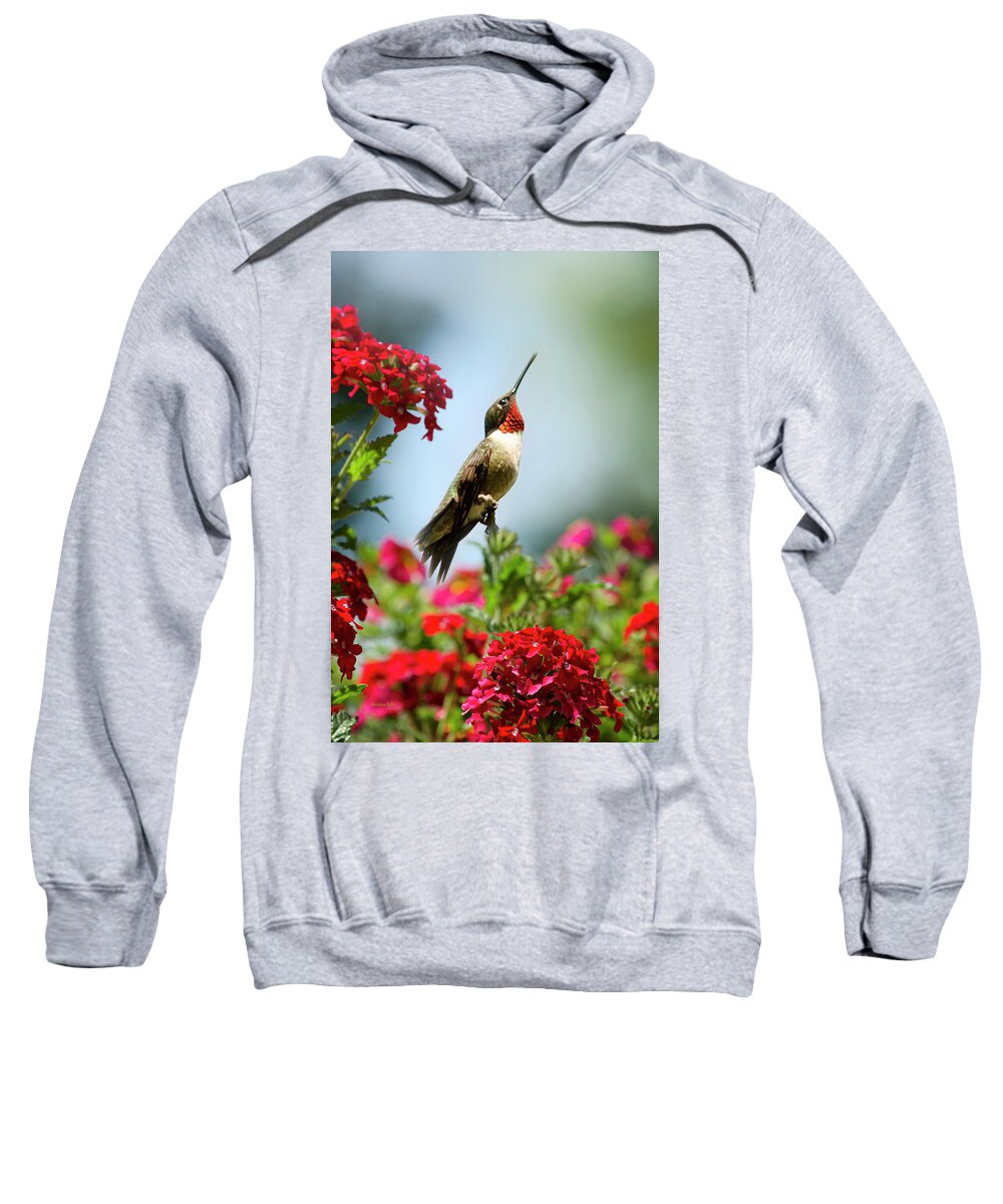Hummingbird Sweatshirt featuring the photograph Hummingbird Garden Guardian by Christina Rollo