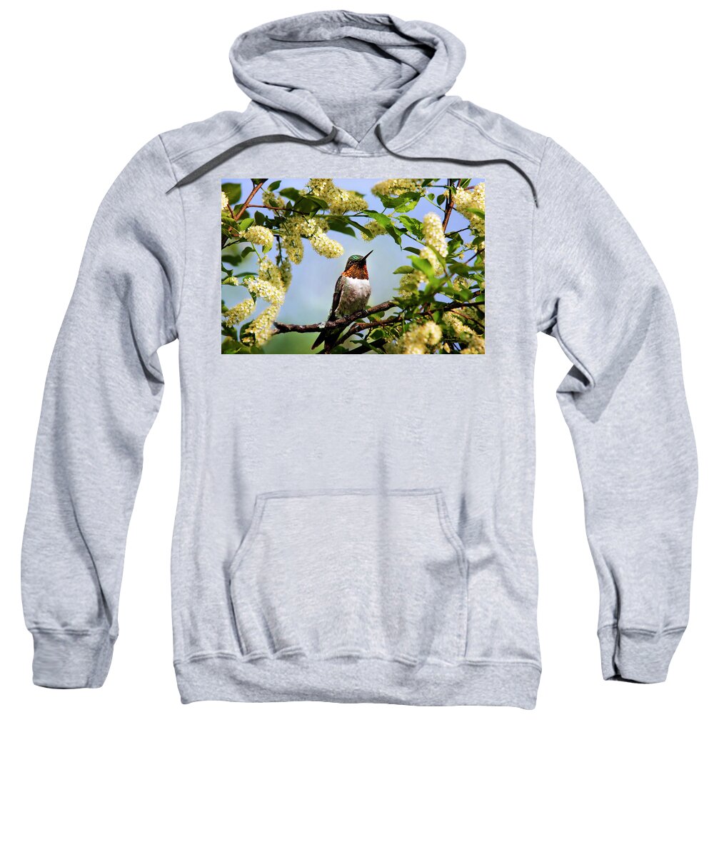 Hummingbird Sweatshirt featuring the photograph Hummingbird with Flowers by Christina Rollo