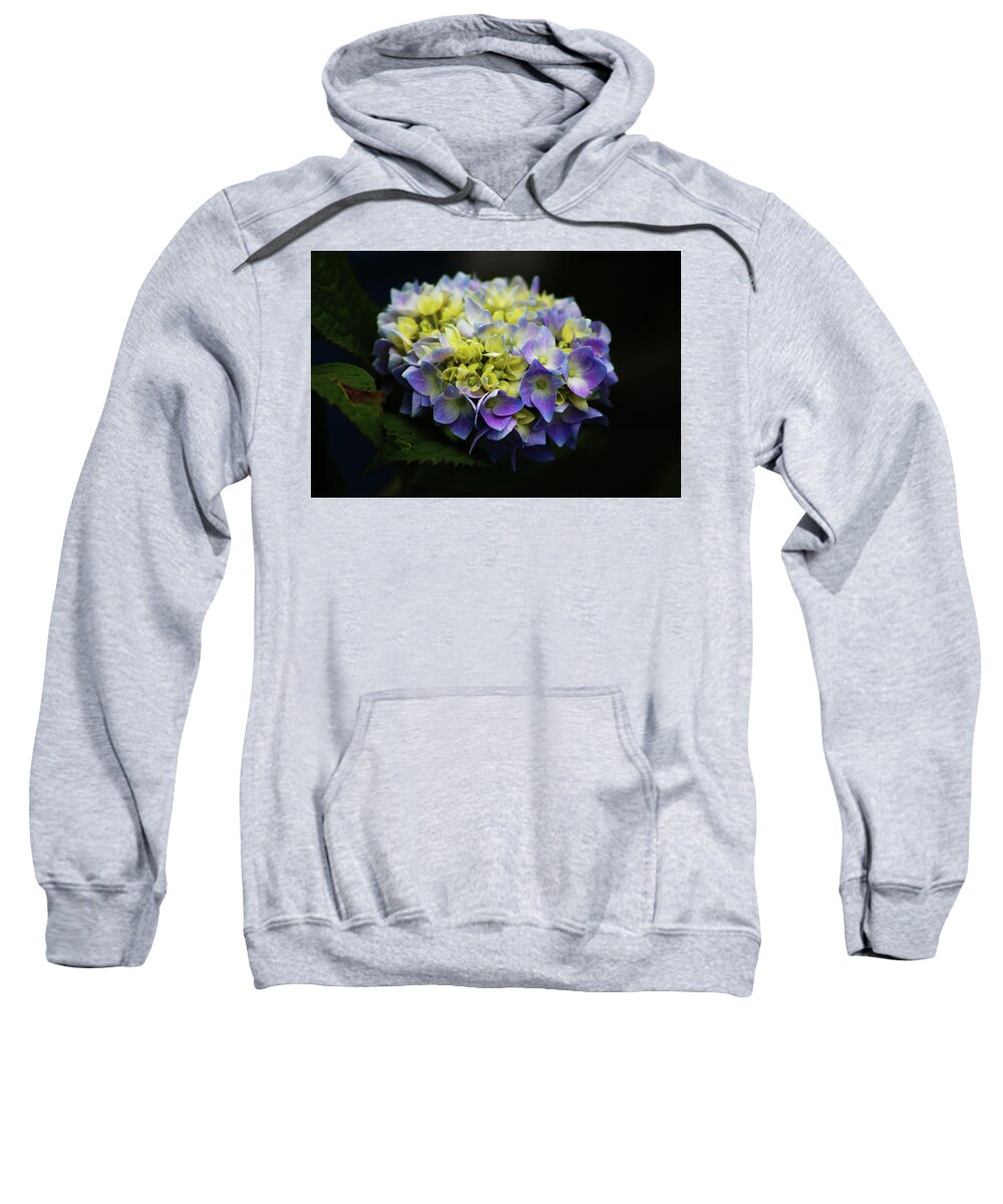 Hydrangea Flowers Sweatshirt featuring the photograph Hydrangea 3705 H_2 by Steven Ward