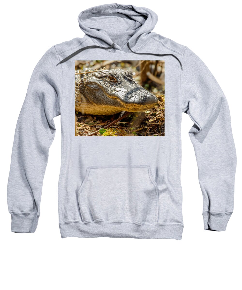 Alligator Sweatshirt featuring the photograph I See You by Joe Granita
