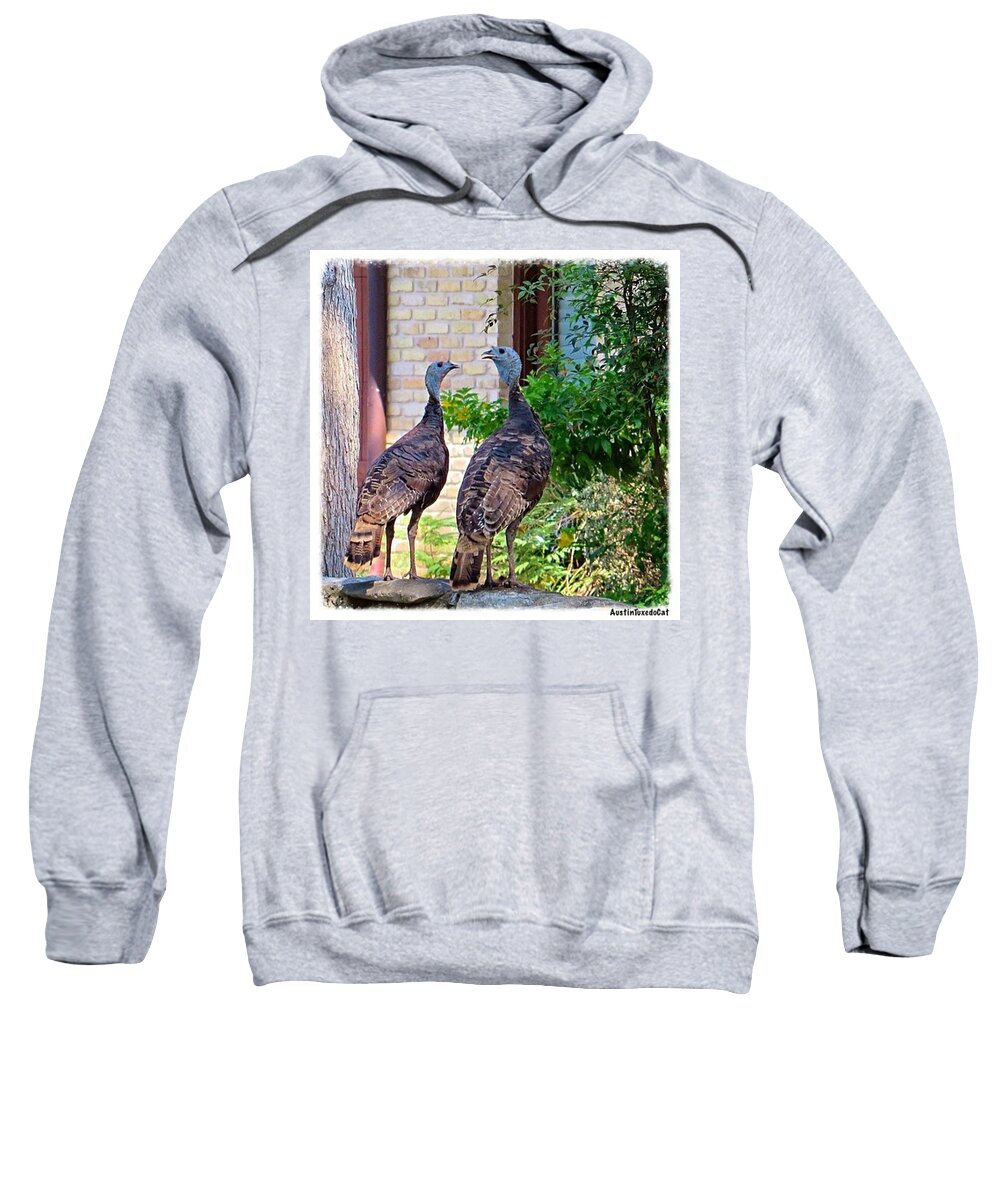Instanaturelover Sweatshirt featuring the photograph I Spotted Not Just These Two #wild by Austin Tuxedo Cat