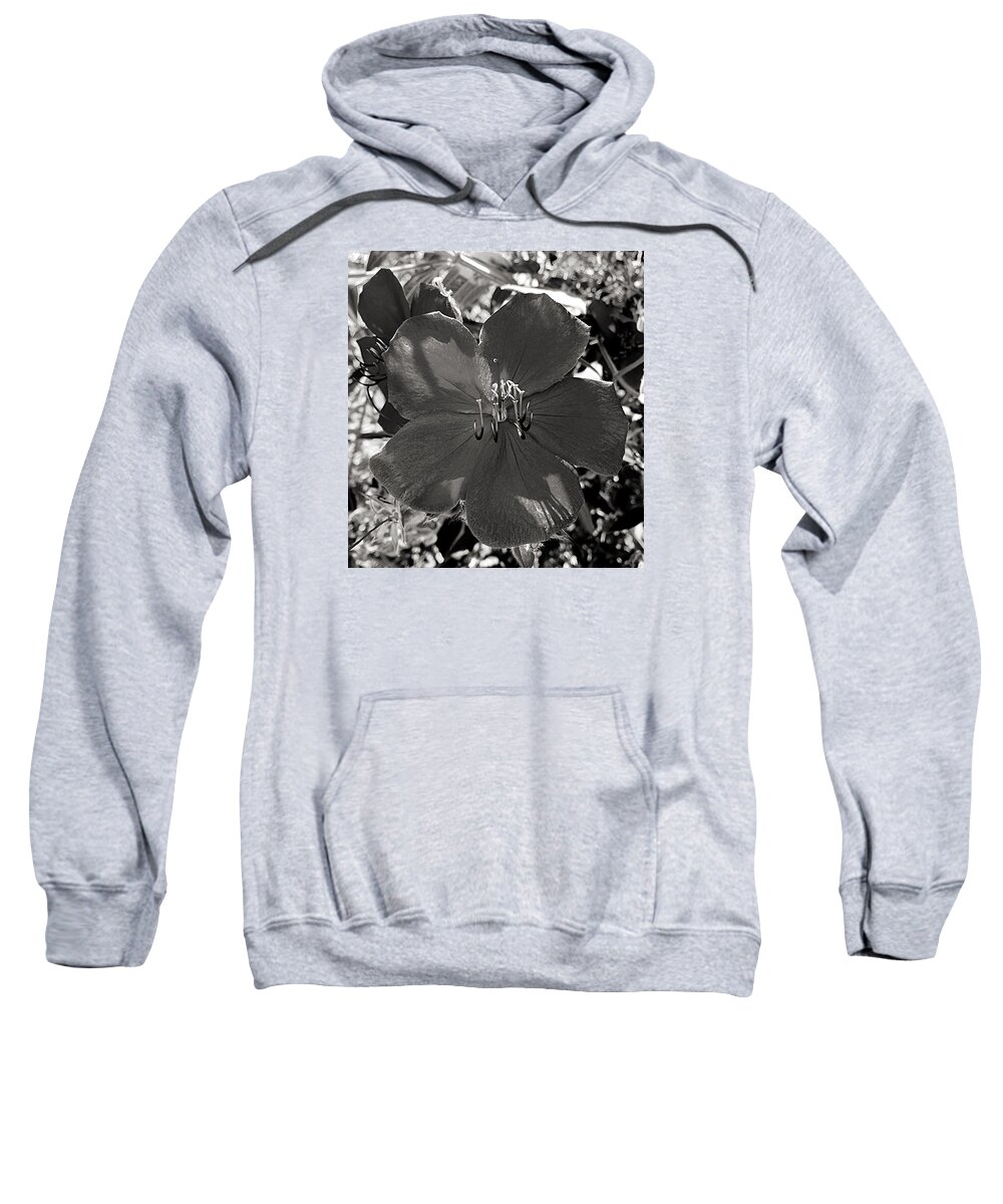 Flower Sweatshirt featuring the photograph I Was Purple by Brad Hodges