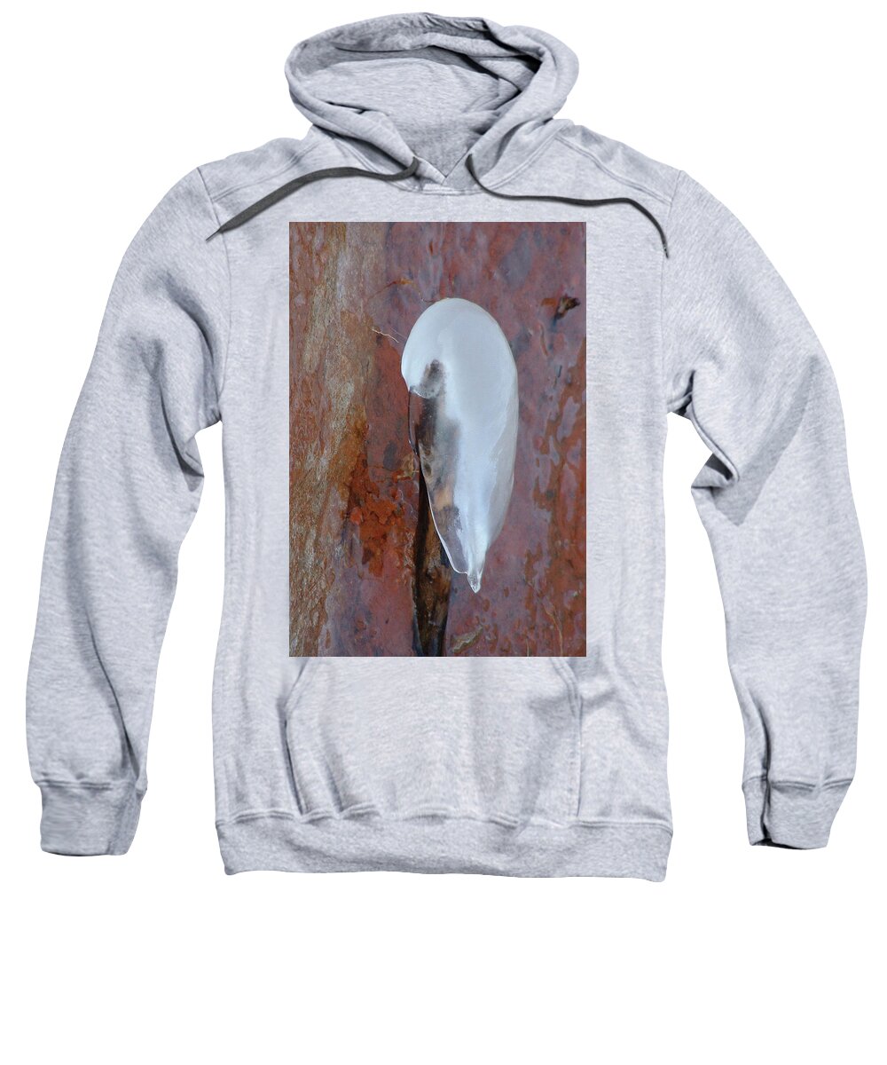 Ice Sweatshirt featuring the photograph Ice Birdy by Annekathrin Hansen