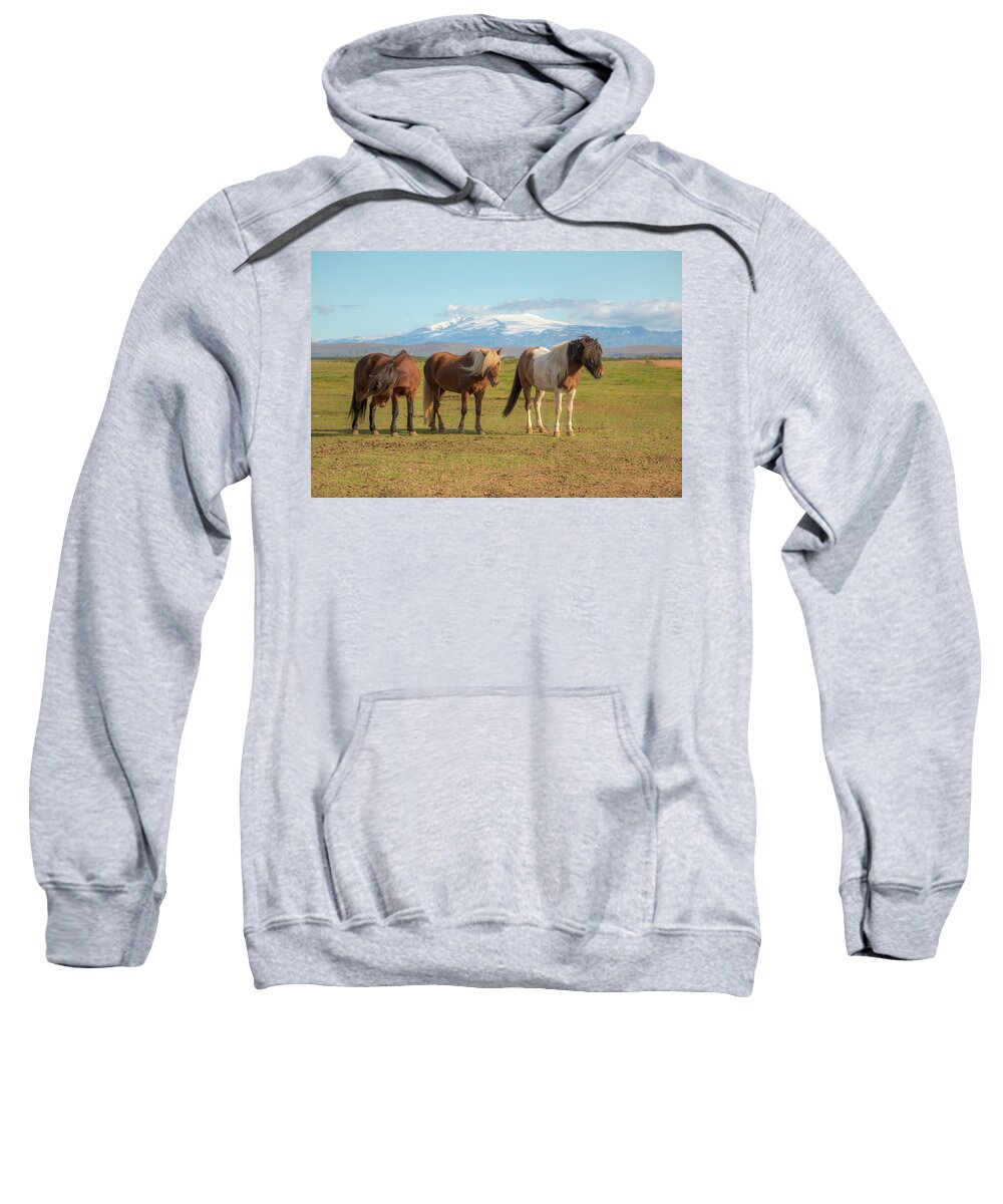 Icelandic Horse Sweatshirt featuring the photograph Icelanders 0639 by Kristina Rinell
