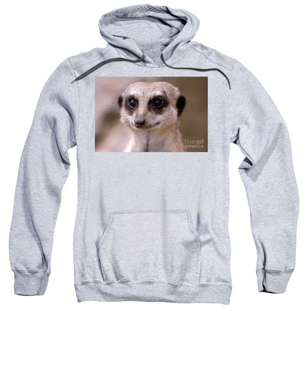 Animal. Meerkat Sweatshirt featuring the photograph Im Watching You by Stephen Melia