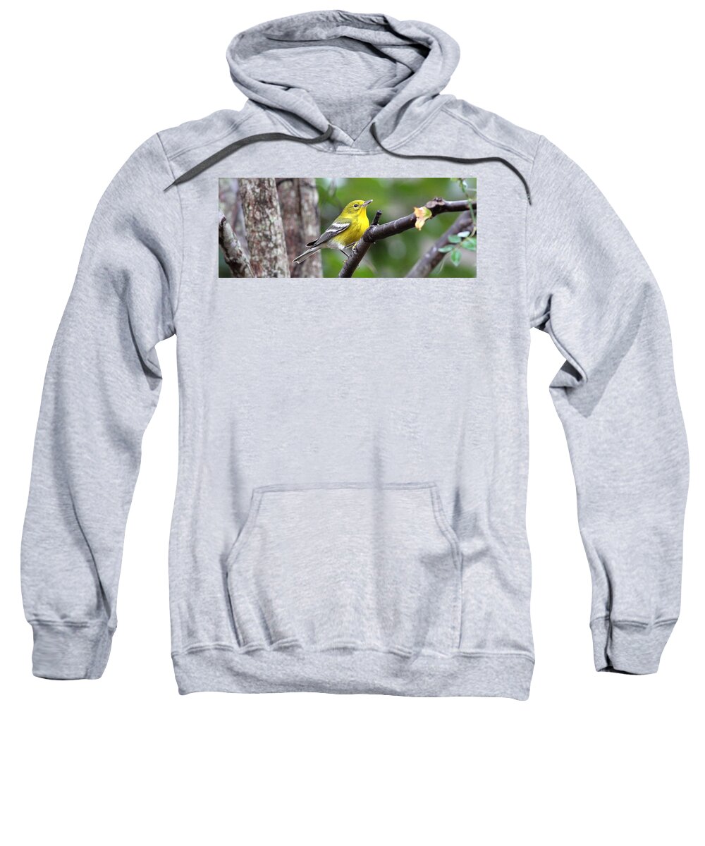  Pine Warbler Sweatshirt featuring the photograph IMG_2247-001 - Pine Warbler by Travis Truelove